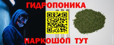 шишки Абакан