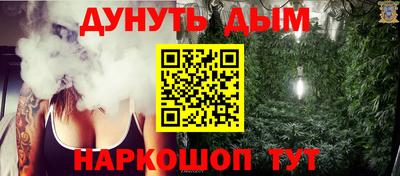шишки Абакан