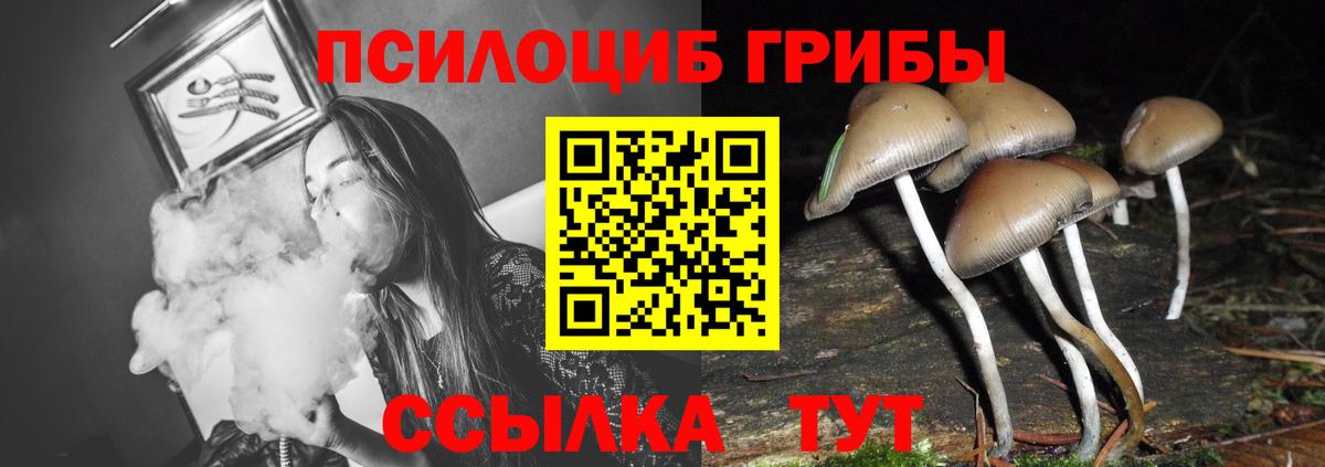 Галлюциногенные грибы мухоморы  Вход с VPN  Ангарск  дарнет шоп  Псилоцибиновые грибы ЛСД 